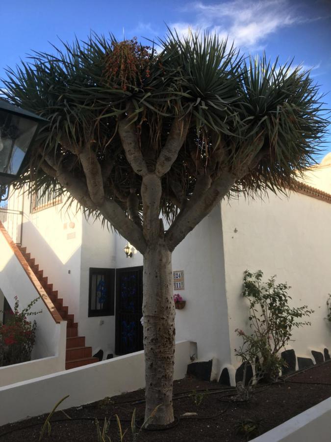 Tenerife طوستا ديل سيلونثيو المظهر الخارجي الصورة
